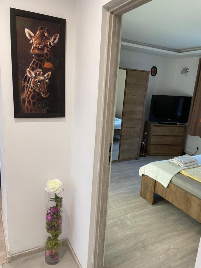 Prestige Apartament Ельблонг Екстер'єр фото
